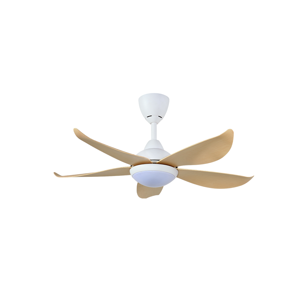 LUNA-5B/40 LED Maple